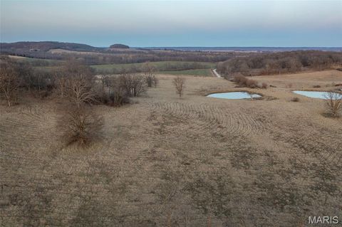 Tiny photo for 255 Gnade Road, Elsberry, MO 63343 (MLS # 25060754)