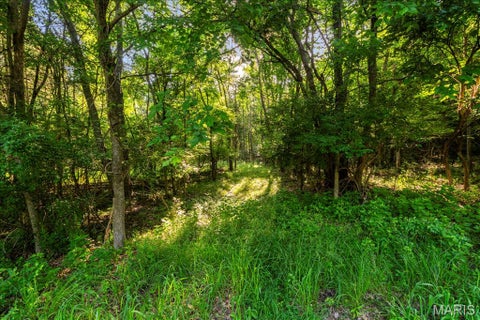 Tiny photo for 3701 Bear Tooth Lane, Wildwood, MO 63069 (MLS # 26036489)