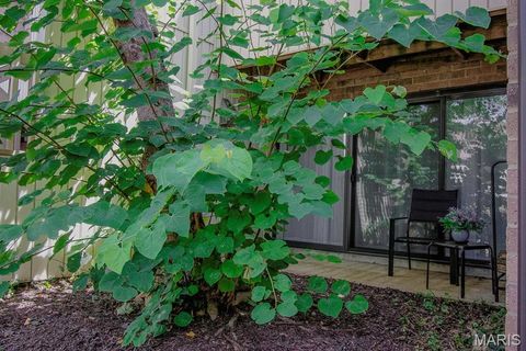 Tiny photo for 648 Coeur De Royale Drive #B, Creve Coeur, MO 63141 (MLS # 25055172)