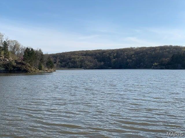 Pinnacle Lake Estates - Land