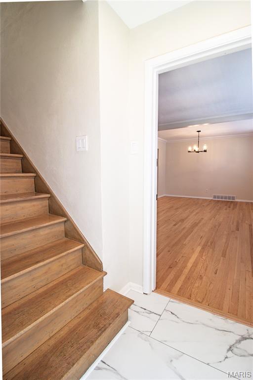 7240 Balson Avenue 1F