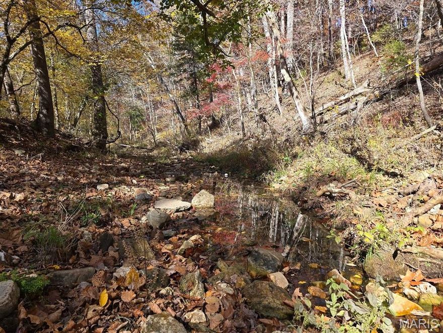 7.5 M/L of wooded property that has approximately 1100 ft of Brushy Creek to enjoy. Beautiful building sites. Mixture of Oak and Pine. Just outside of City limits.