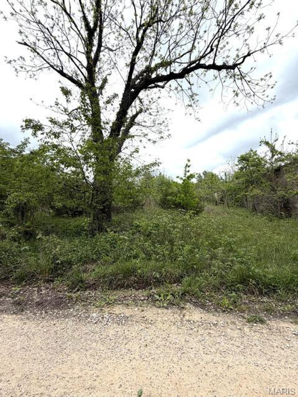 Photo of 6919 County Road 665, Birch Tree, MO 65438 (MLS # 26025901)