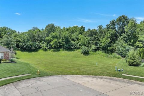 Photo of 2315 Longest Drive, Wentzville, MO 63385 (MLS # 26035912)