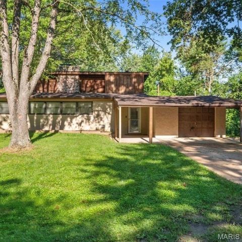 Photo of 12215 Spanish Boulevard, St Louis, MO 63138 (MLS # 26014457)