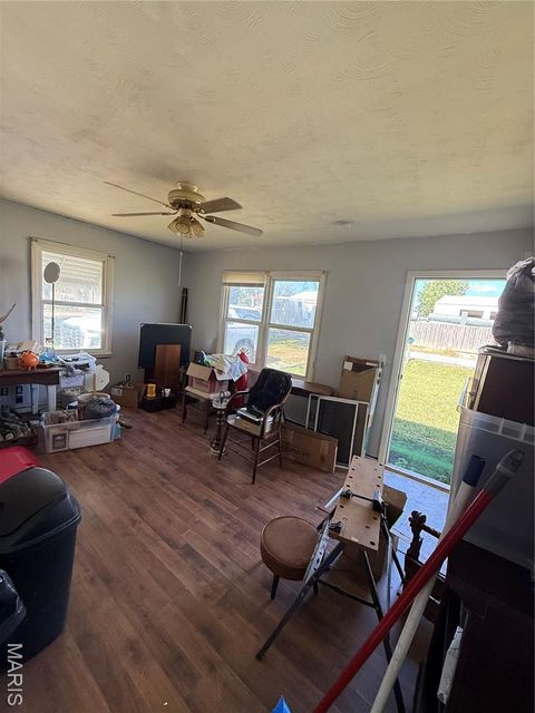 Tiny photo for 119 E Bibb Drive, Bowling Green, MO 63334 (MLS # 25066315)