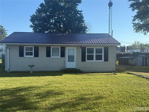 Photo of 119 E Bibb Drive, Bowling Green, MO 63334 (MLS # 25066315)