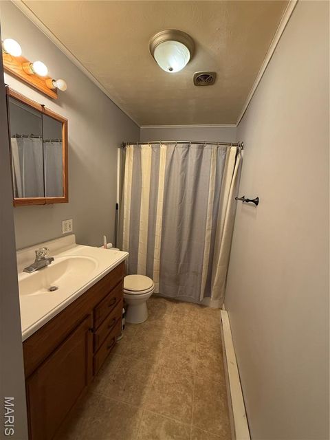 Tiny photo for 119 E Bibb Drive, Bowling Green, MO 63334 (MLS # 25066315)