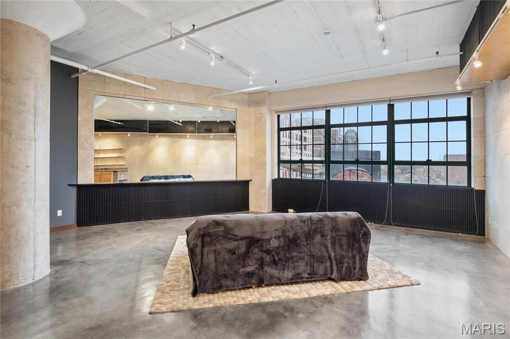 City Museum Lofts - Residential