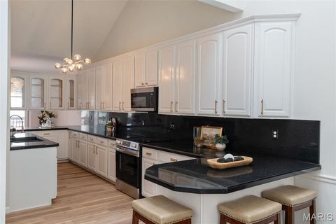 Tiny photo for 730 Willow Spring Hill Court, Chesterfield, MO 63017 (MLS # 26014129)