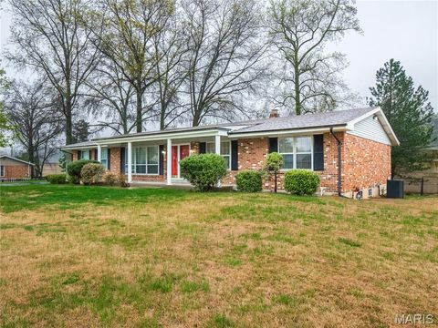 Photo of 10636 Roanna Lane, St Louis, MO 63128 (MLS # 26018802)