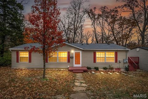 3933 Zell Circle De Soto MO 63020