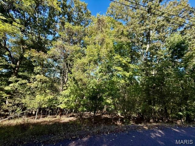Lake Sherwood Estates - Land