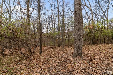 Tiny photo for 2639 Rockwood Pointe Court, Wildwood, MO 63040 (MLS # 25080549)