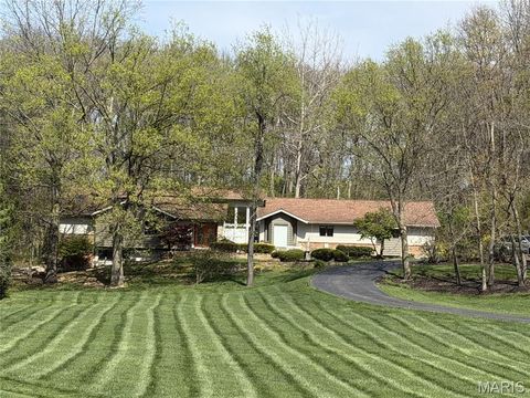 Photo of 2175 Quaethem Drive, Wildwood, MO 63005 (MLS # 26020552)