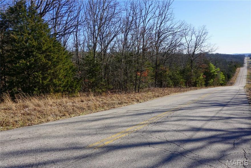 Seize the opportunity to own this picturesque wooded tract conveniently located on the corner of Sally Road and Hwy Y. Spanning 14.44 m/l acres, this property offers the perfect balance of privacy and accessibility—just a short drive from town. Rural water is available, making it ideal for building your dream home or a peaceful retreat surrounded by nature. Enjoy the serene setting, mature trees, and the natural beauty this area has to offer, all while still being close to everyday conveniences. A rare find like this won’t last long!