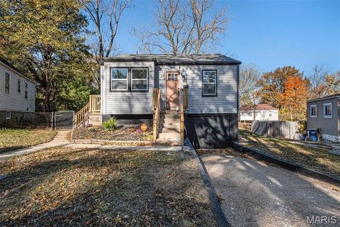 Photo of 24 Lamar Drive, St Louis, MO 63136 (MLS # 25076040)