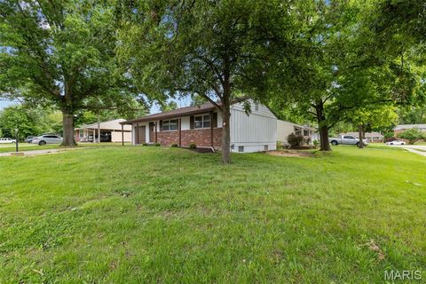 Tiny photo for 11118 Alan Shepard Drive, St Louis, MO 63043 (MLS # 26032324)