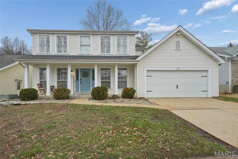 17134 Elm Trail Drive Eureka MO 63025