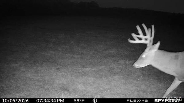 HWY N, VERSAILLES, MO 65084 - Image 0f3b9ce8d1df2ad757911042375adaa5/3554235028