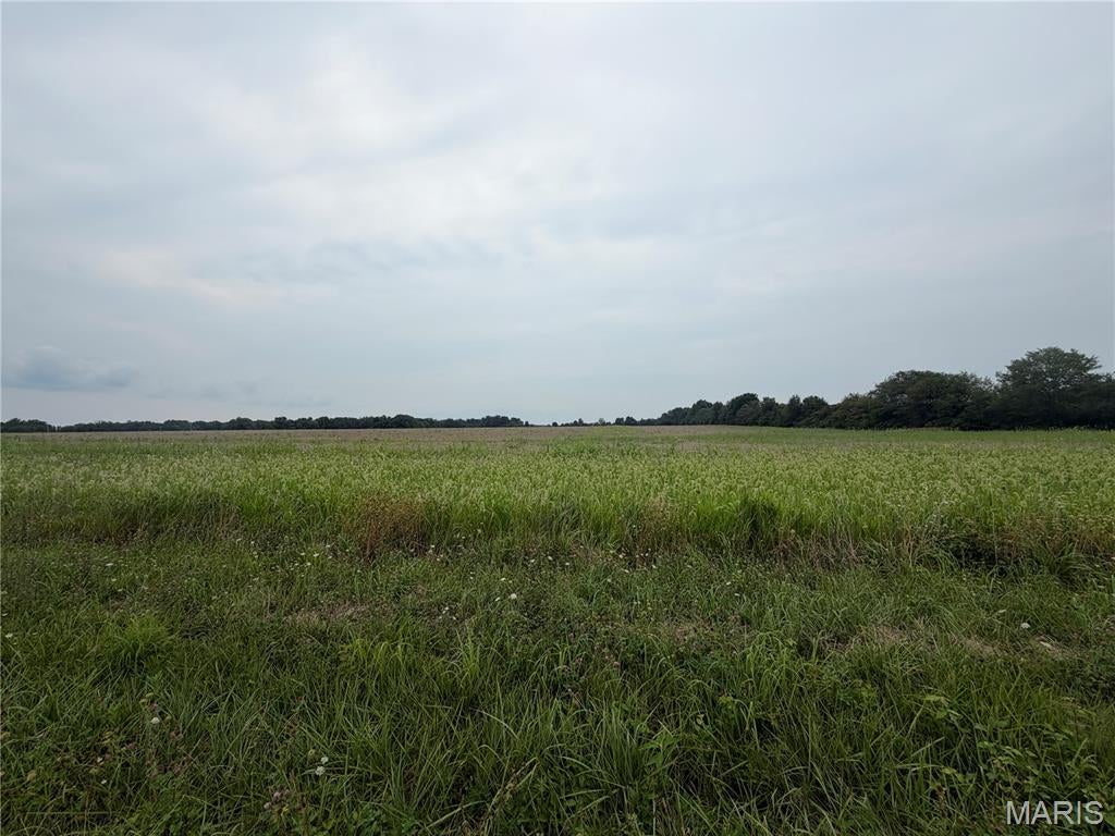 62.69 Acres Hickory Lick Rd.