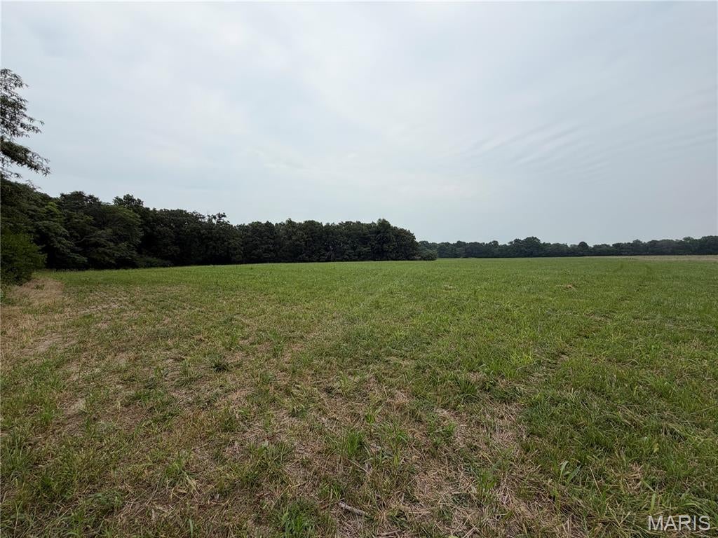 62.69 Acres Hickory Lick Rd.