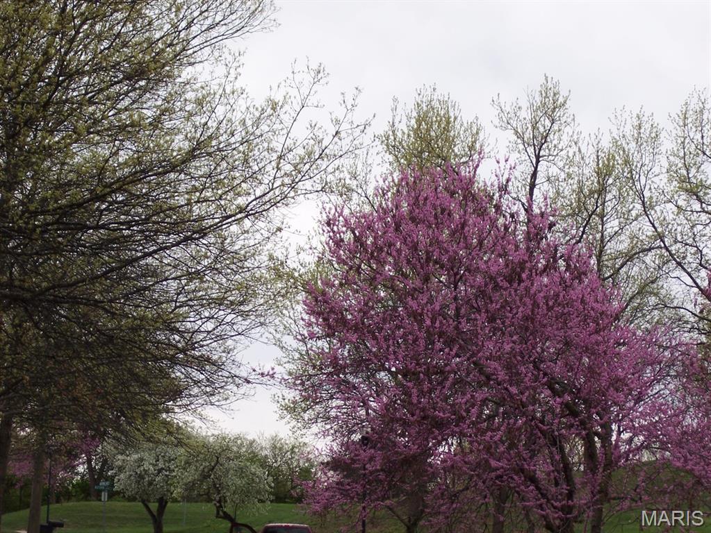 Autumn Lakes Condo - Residential
