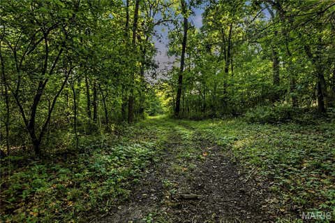 Tiny photo for 131 Mitchell Court, Troy, MO 63379 (MLS # 26050318)
