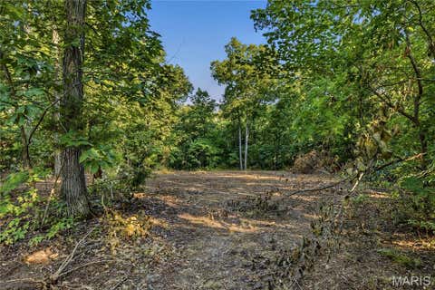 Tiny photo for 131 Mitchell Court, Troy, MO 63379 (MLS # 26050318)