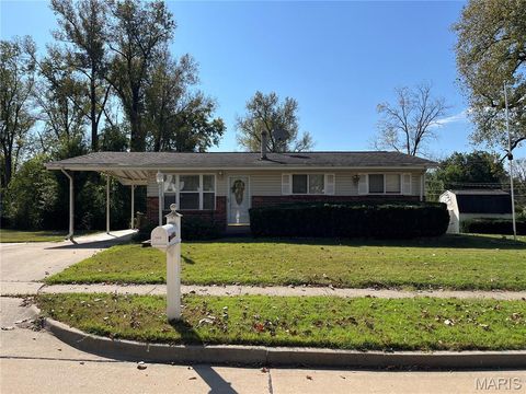 Photo of 11410 Essex Avenue, Maryland Heights, MO 63043 (MLS # 25070158)