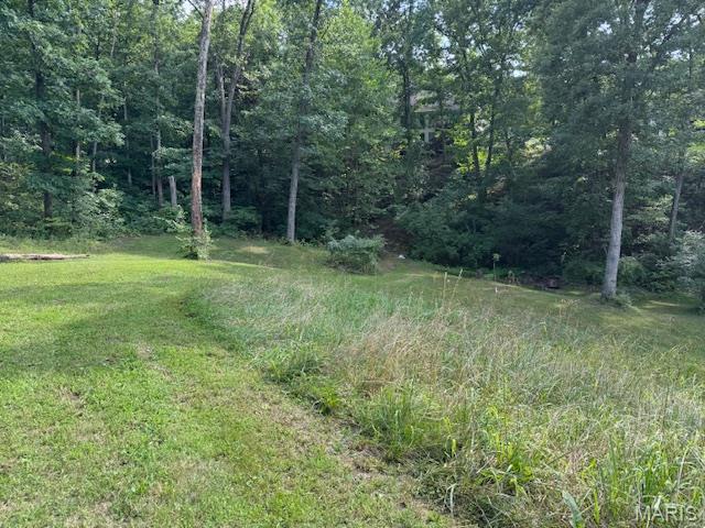 139 Red Hawk Ridge Drive