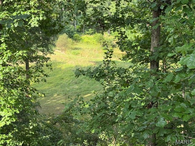 139 Red Hawk Ridge Drive
