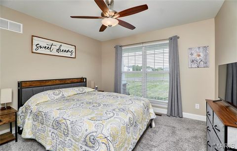Tiny photo for 40 Sycamore Grove Drive, Troy, MO 63379 (MLS # 25067267)