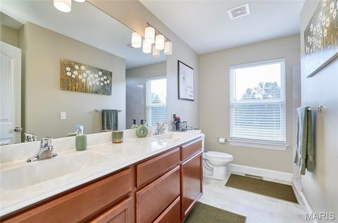 Tiny photo for 40 Sycamore Grove Drive, Troy, MO 63379 (MLS # 25067267)