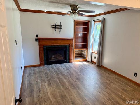 Tiny photo for 407 N High Street, Bowling Green, MO 63334 (MLS # 25060252)