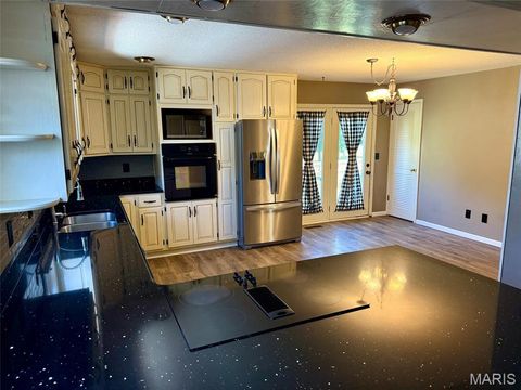 Tiny photo for 407 N High Street, Bowling Green, MO 63334 (MLS # 25060252)