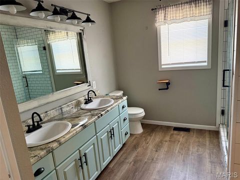 Tiny photo for 407 N High Street, Bowling Green, MO 63334 (MLS # 25060252)