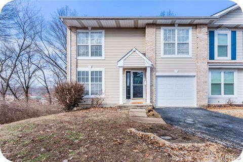 8233 Swarthmore Court University City MO 63130