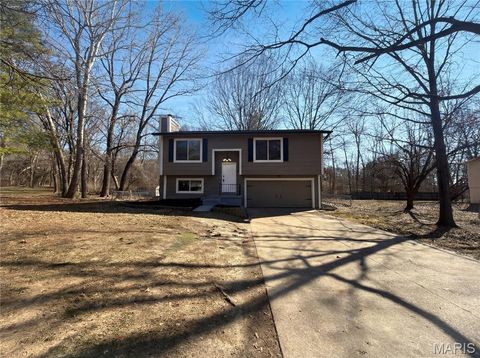 926 Wisdom Lane Pacific MO 63069