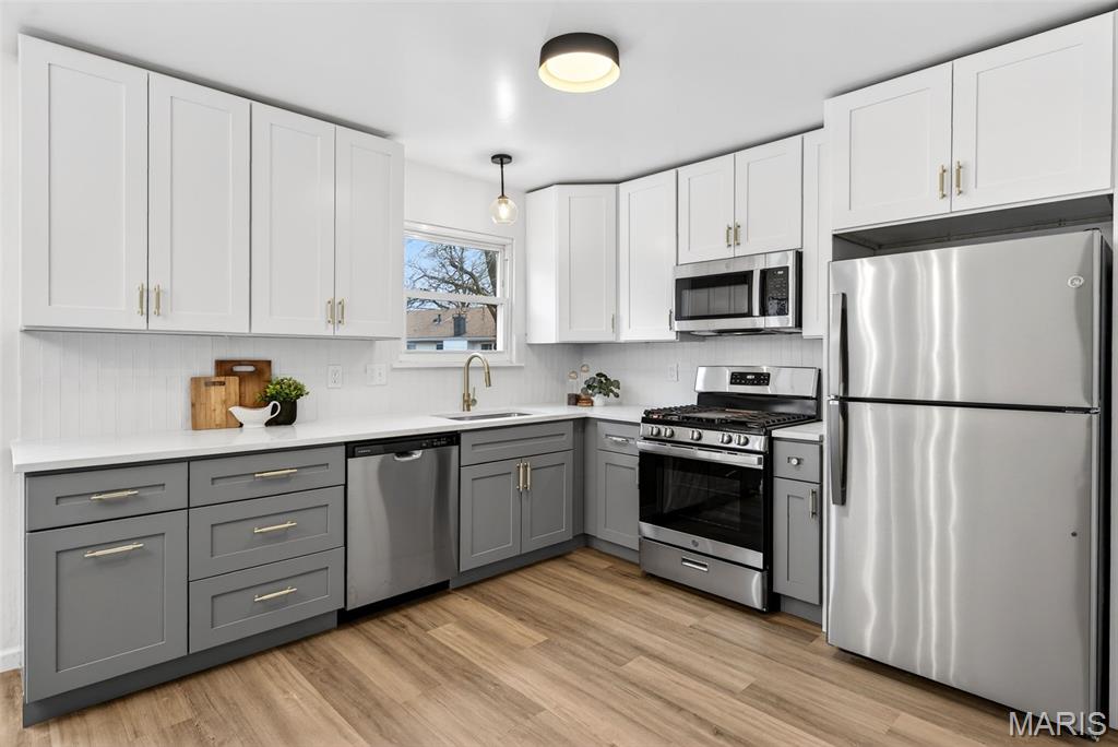 Fox Lake Meadows 1 - Residential