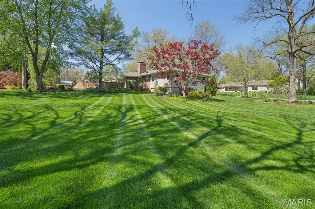 Dogwood Lane - Residential