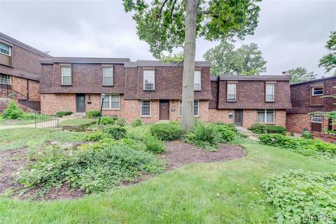 Photo of 13503 Coliseum Drive, Chesterfield, MO 63017 (MLS # 25049200)