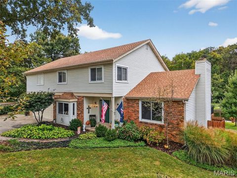 Photo of 617 Lakeview Road, Lake Saint Louis, MO 63367 (MLS # 25079502)