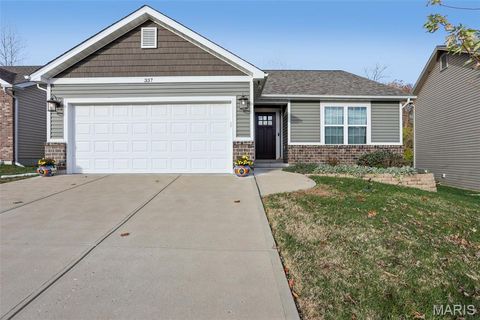 337 Andy Habsieger Street Festus MO 63028