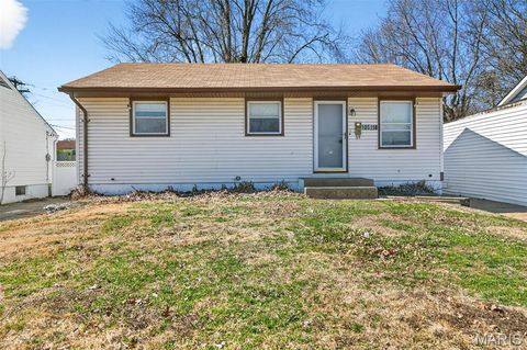 Photo of 10519 Renfrew Drive, St Louis, MO 63137 (MLS # 26011103)