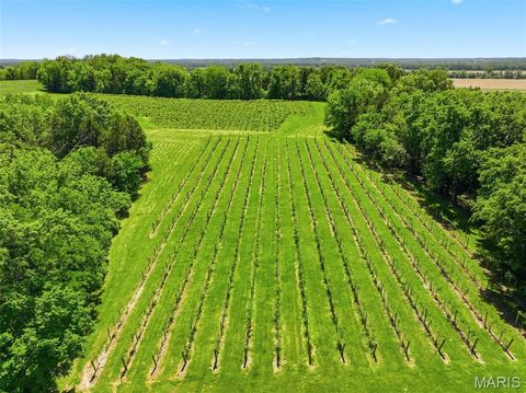 Tiny photo for 15088 Boone Monument Road, Unincorporated, MO 63357 (MLS # 26030915)