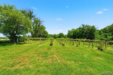 Tiny photo for 15088 Boone Monument Road, Unincorporated, MO 63357 (MLS # 26030915)