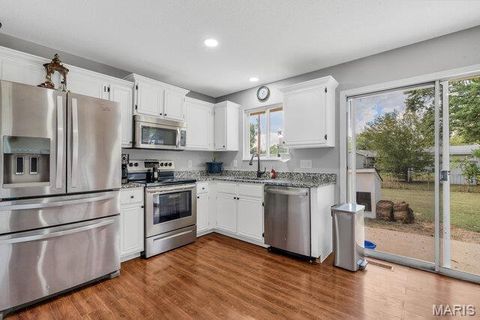 Tiny photo for 22 S 12th Street, Bowling Green, MO 63334 (MLS # 25067904)