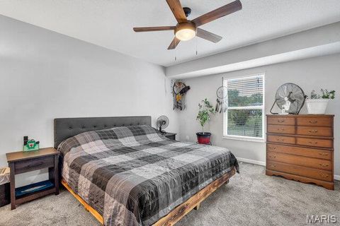 Tiny photo for 22 S 12th Street, Bowling Green, MO 63334 (MLS # 25067904)