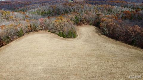 Tiny photo for 3 Polston Ln, Marthasville, MO 63357 (MLS # 25077445)